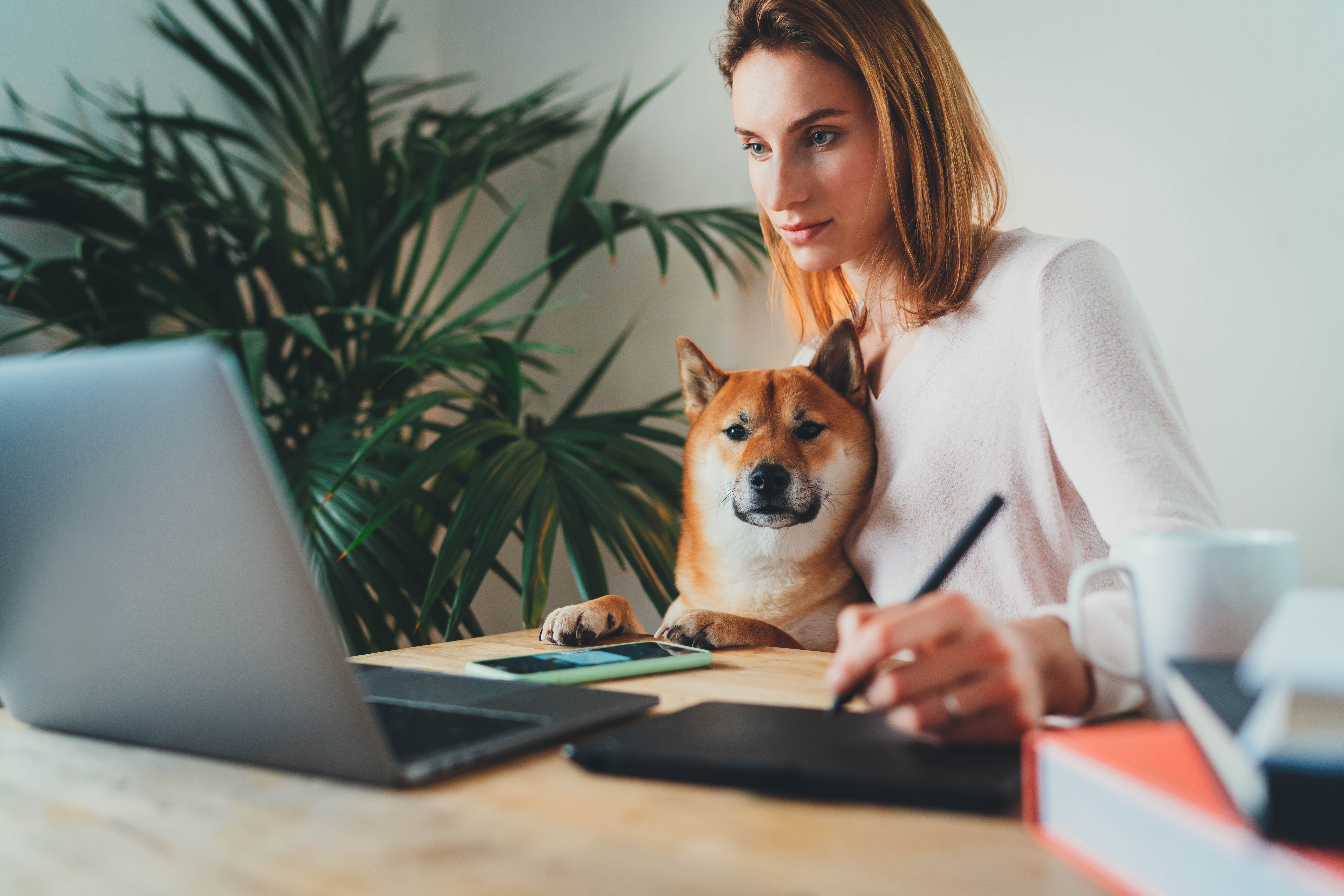 woman working on a laptop with dog next to her
