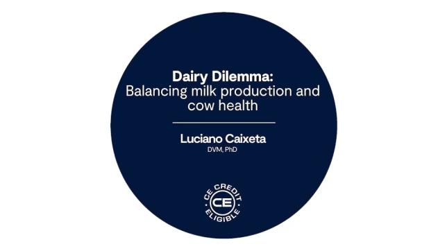 dairy-dilemma