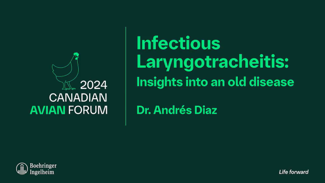 dr-andres-diaz-infectious-laryngotracheitis-video