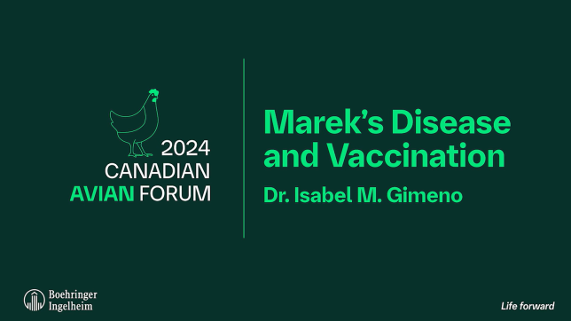 dr-isabel-gimeno-video