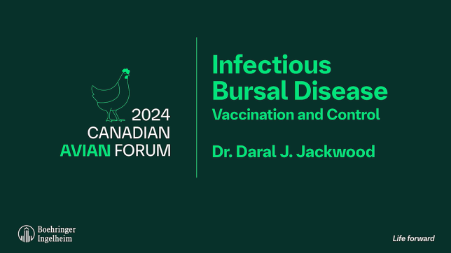 dr-daral-jackwood-video