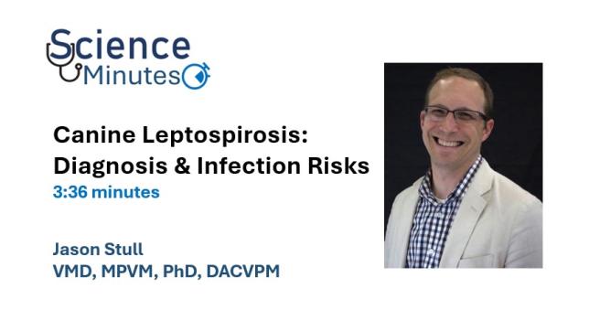 stull lepto thumbnail 2