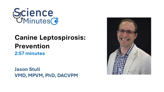 dr jason stull video 3 thumbnail