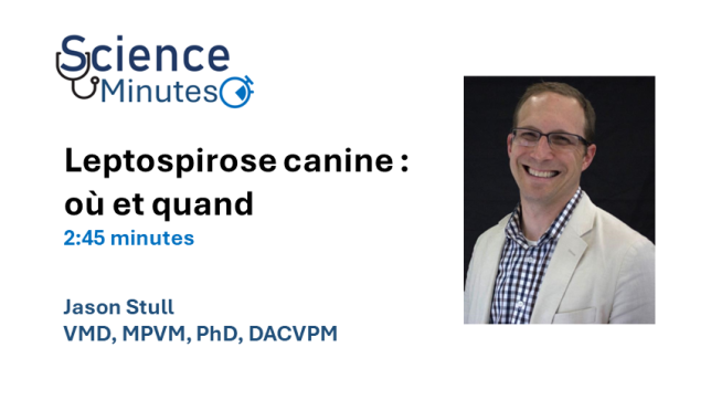 dr-stull-fr-thumbnail-1