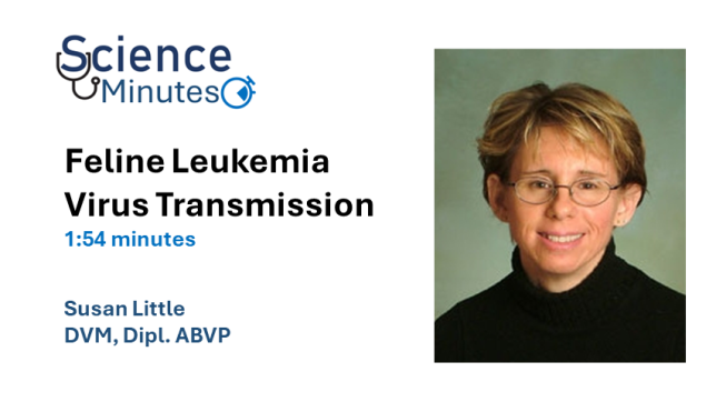 dr-little-thumbnail4-en