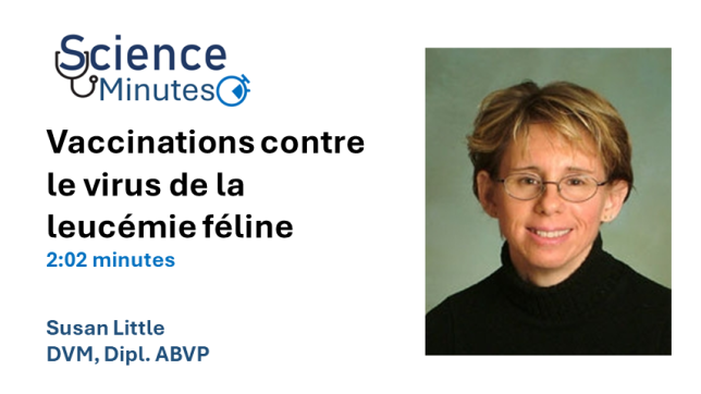 dr-little-thumbnail2-fr