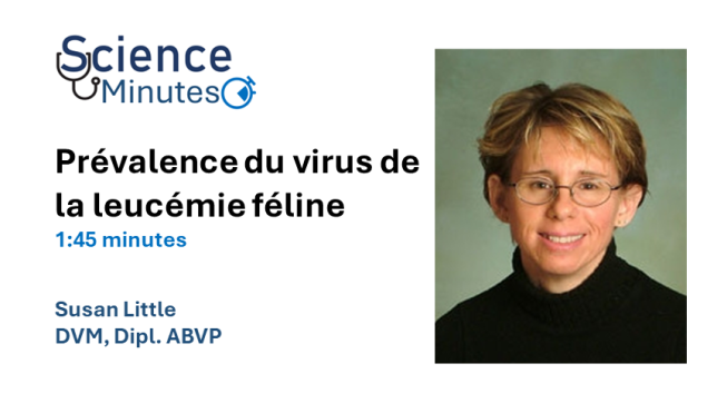 dr-little-thumbnail3-fr