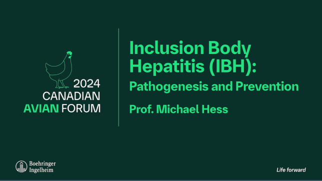 dr michael hess - inclusion body hepatitis