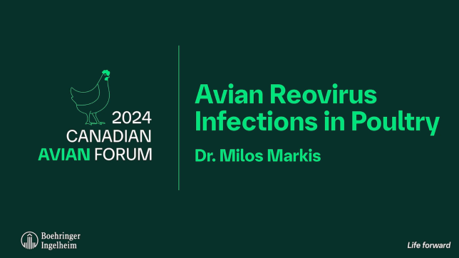 avian reovirus infections in poultry 