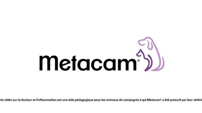 logo de metacam