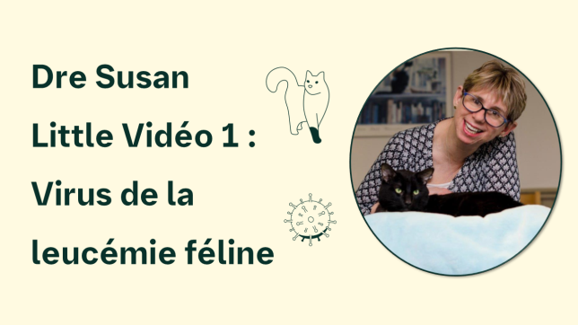 Vidéo 1 : Virus de la leucémie féline