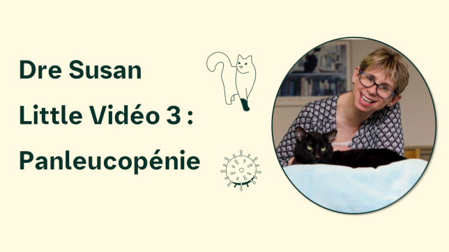 Vidéo sur la panleucopénie.