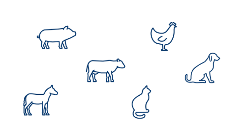 animal icons