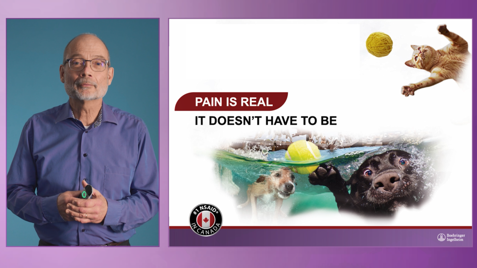 Dr. Walt Ingwersen presentation