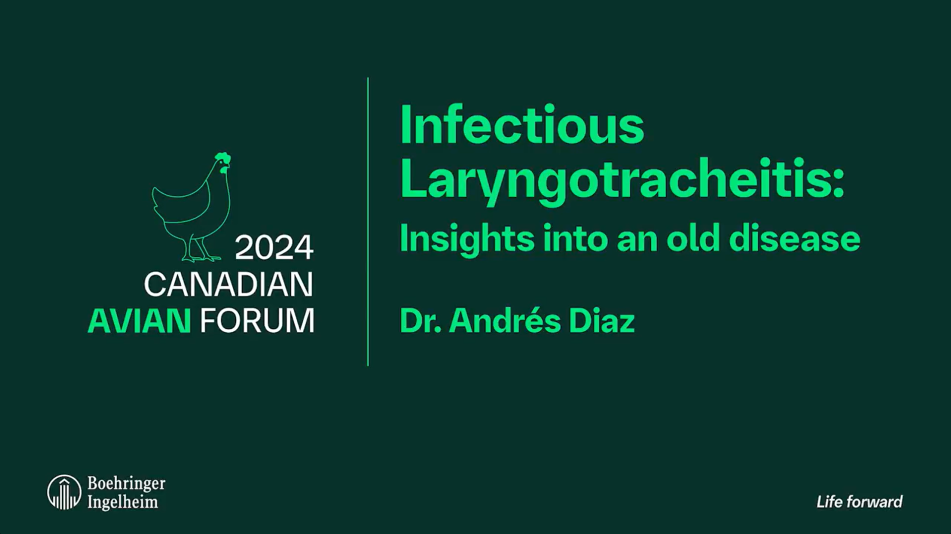 dr-andres-diaz-infectious-laryngotracheitis-video