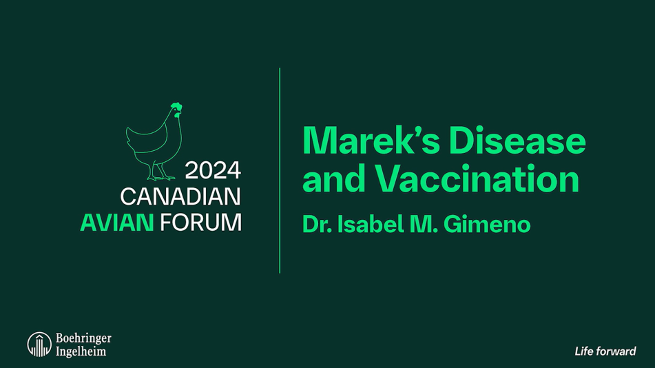 dr-isabel-gimeno-video