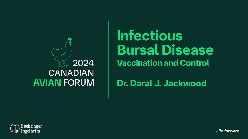 dr-daral-jackwood-video