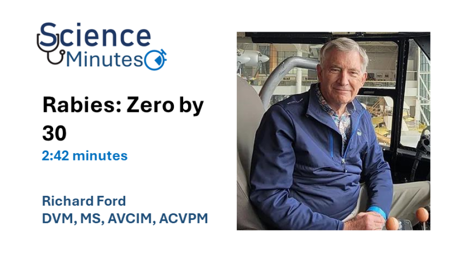 dr-ford-en-thumbail2