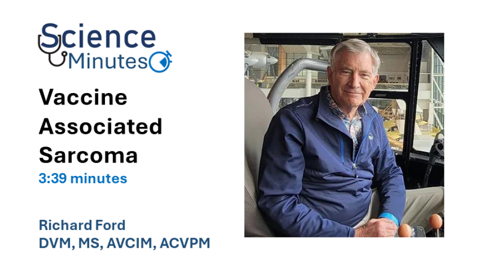 dr-ford-en-thumbail4