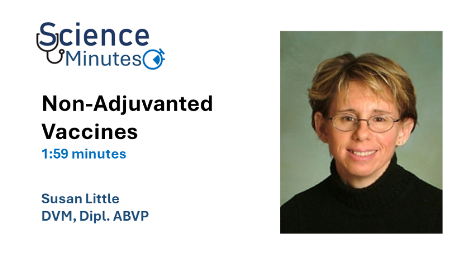 dr-little-thumbnail1-en