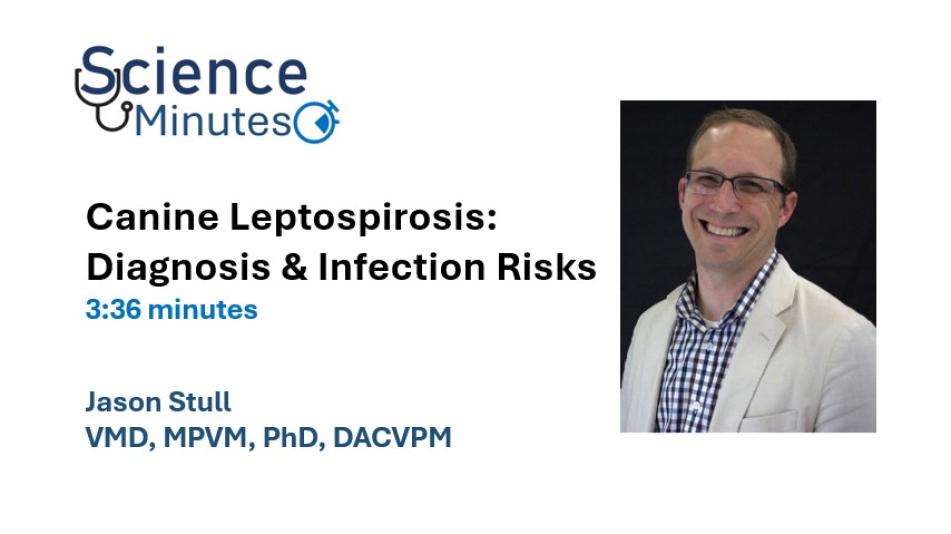 stull lepto thumbnail 2