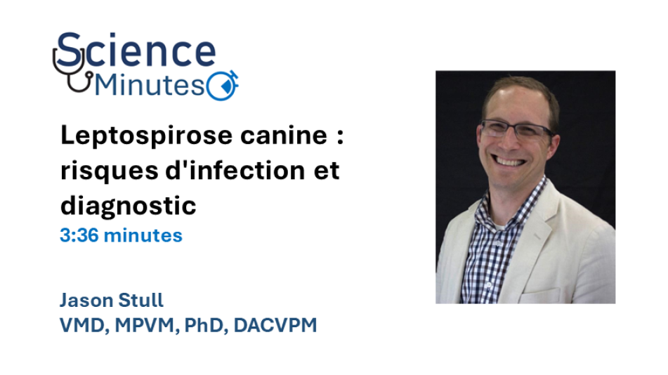 dr-stull-fr-thumbnail-2