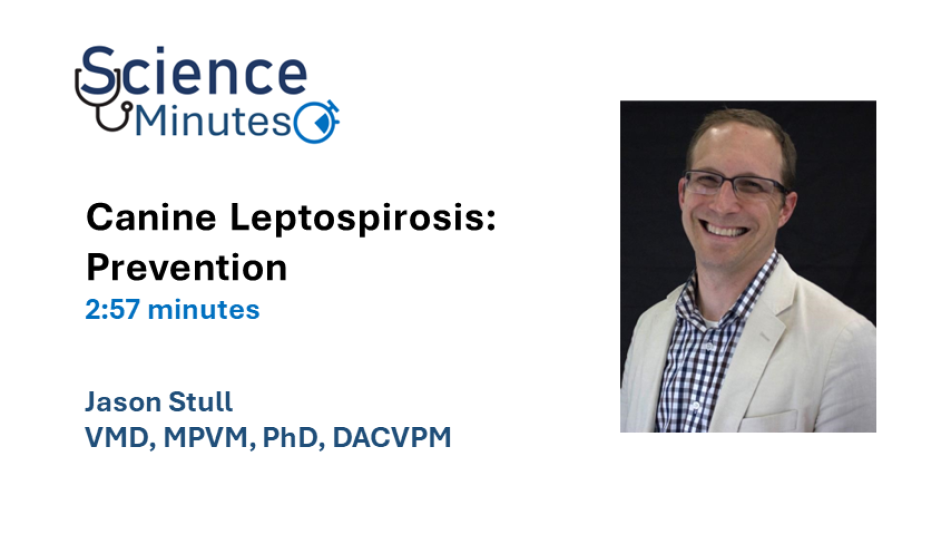 dr jason stull video 3 thumbnail