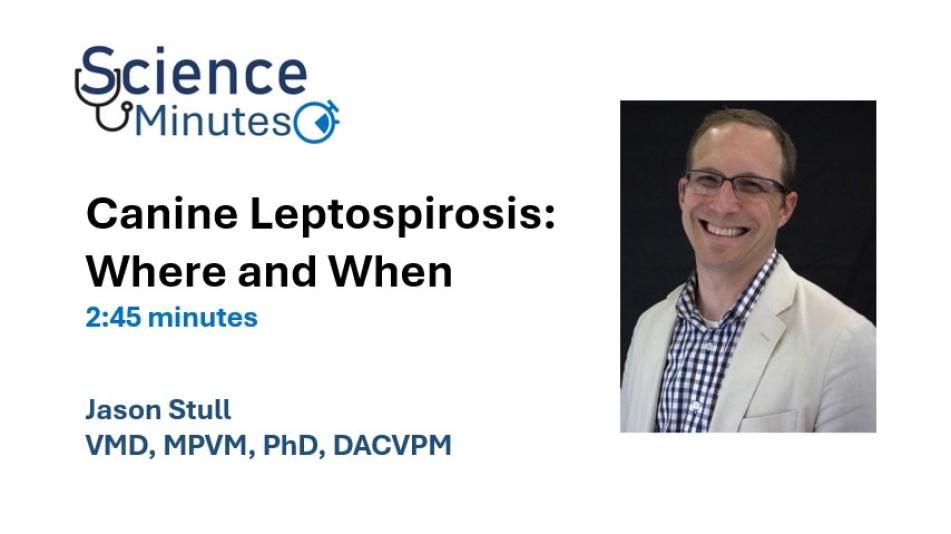 stull lepto thumbnail 1