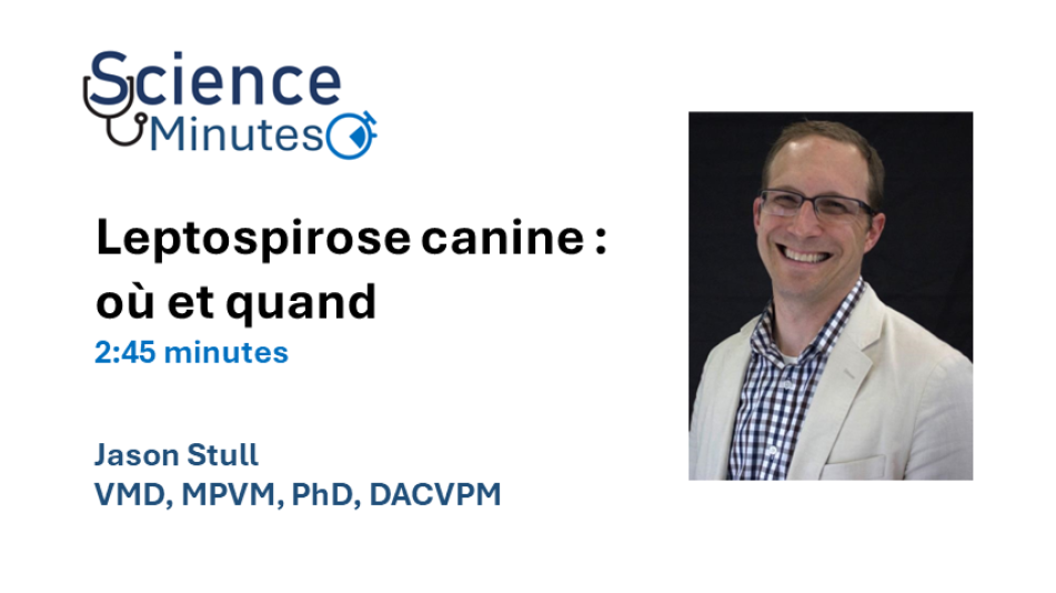 dr-stull-fr-thumbnail-1