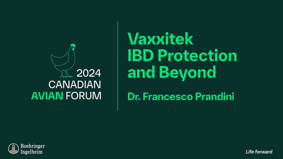 vaxxitek ibd protection 
