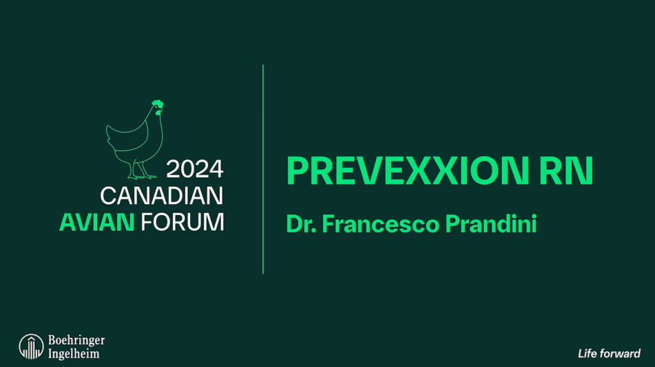 prevexxion
