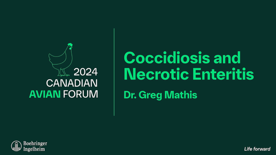 coccidiosis and necrotic enteritis