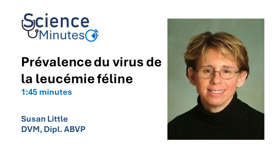 dr-little-thumbnail3-fr