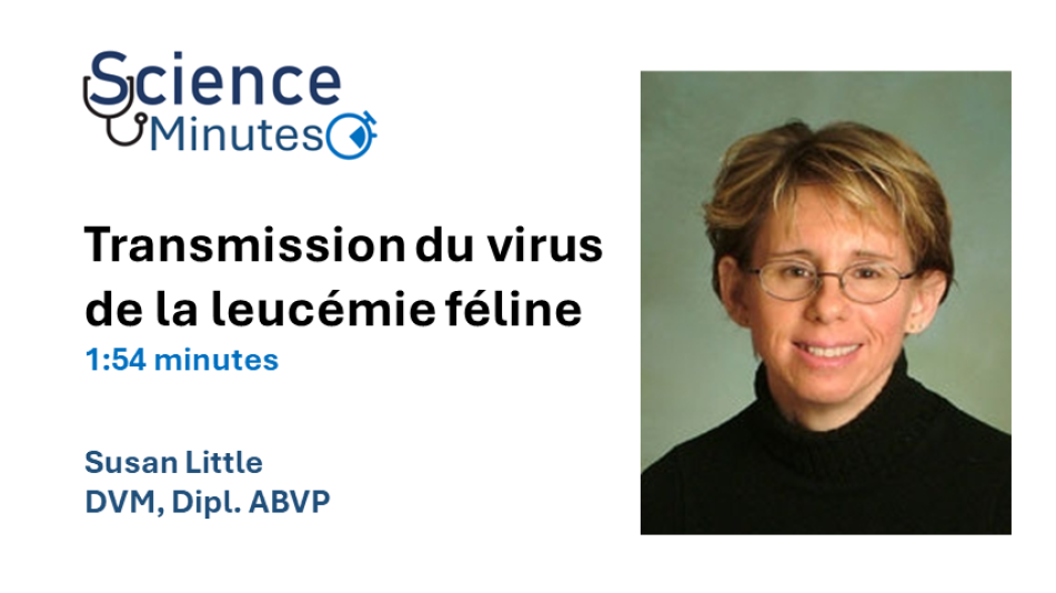 dr-little-thumbnail1-fr