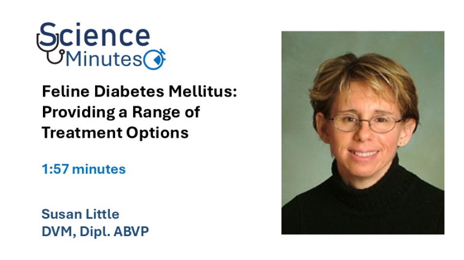 dr little diabetes video thumbnail