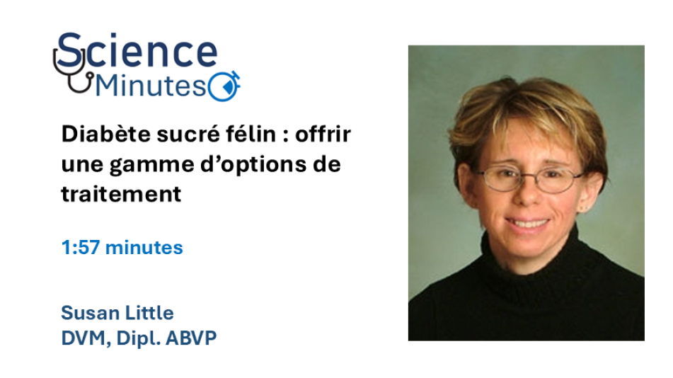 dr little diabetes video thumbnail 