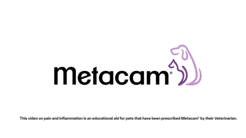 metacam logo
