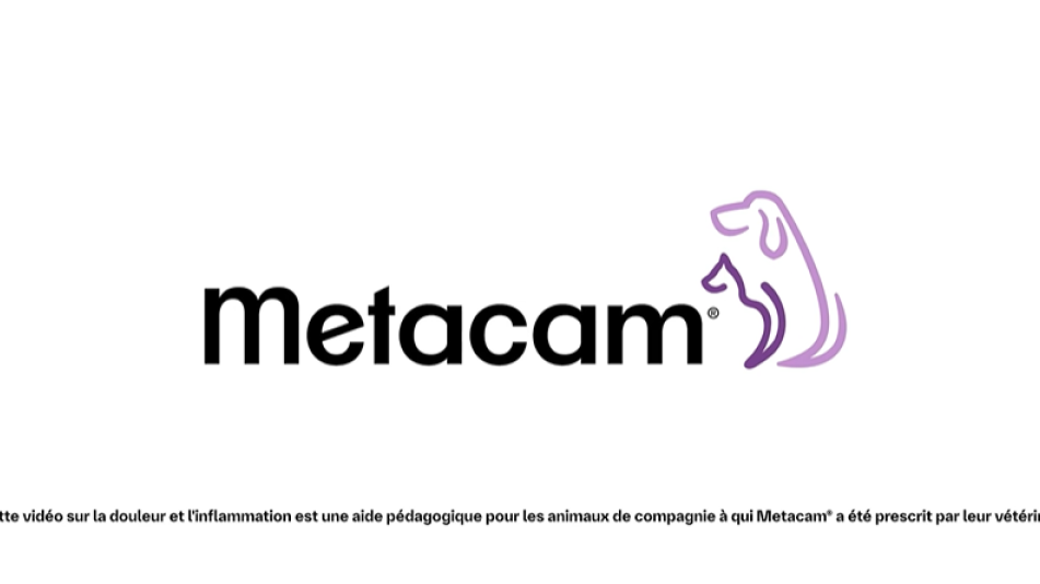 logo de metacam