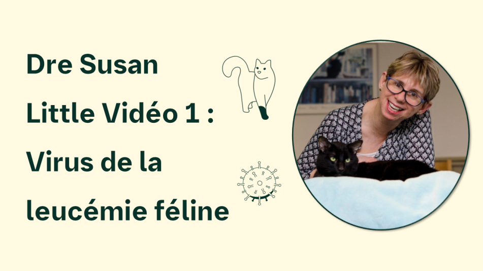 Vidéo 1 : Virus de la leucémie féline
