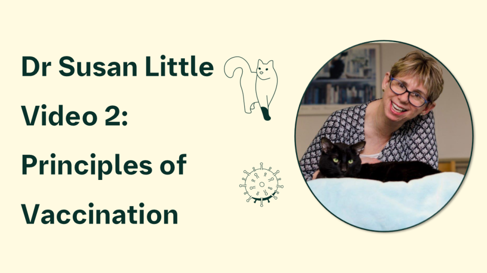 principles of vaccination video teaser image