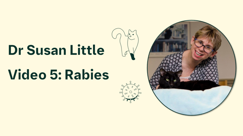rabies video teaser image