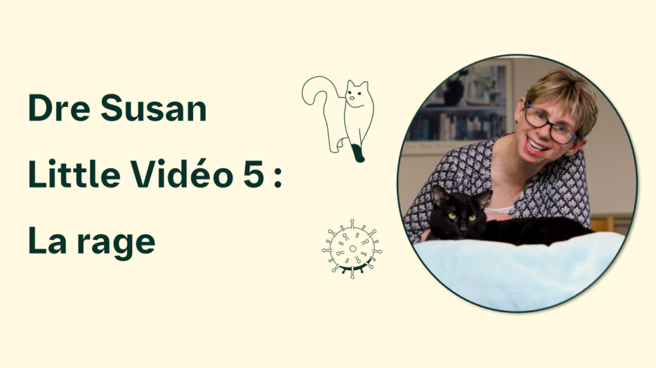la vidéo du Dr Susan Little sur la rage.
